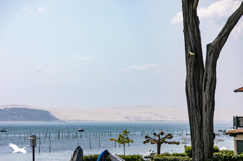 Vente Appartement LEGE CAP FERRET - 2 pièces -35 m² - (33970)