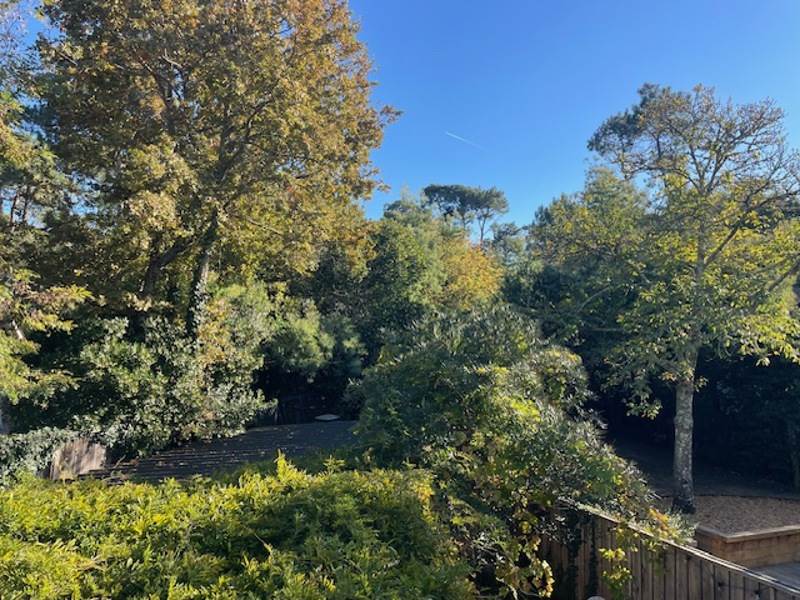 Vente Appartement LEGE CAP FERRET - 3 pièces -50 m² - (33950)