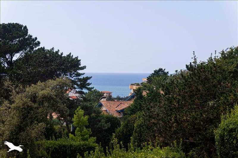 Vente Appartement BIARRITZ 64200 2 pièces - 32 m²
