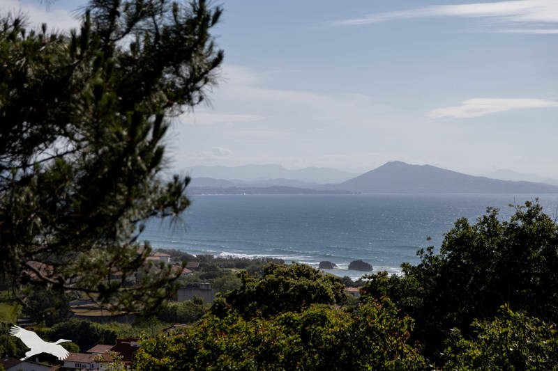 Vente Appartement BIARRITZ - 2 pièces -48 m² - (64200)