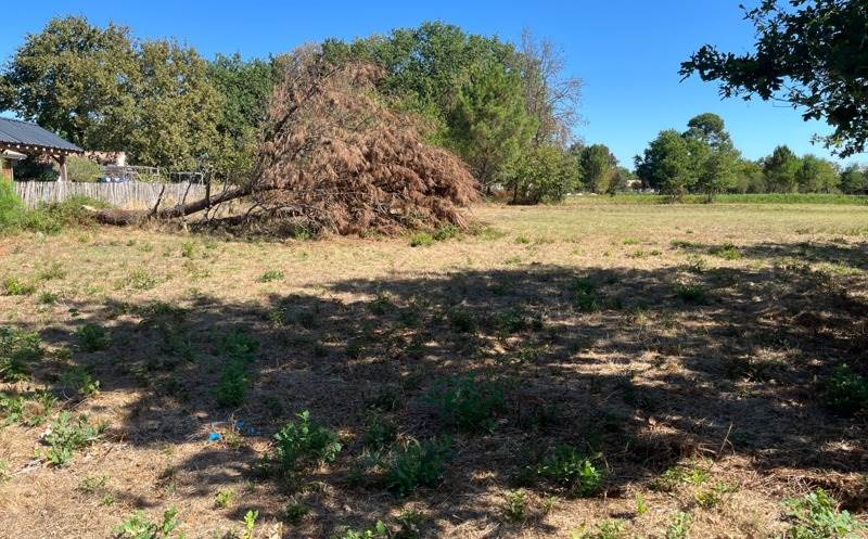 Terrain 4 pièces · à Hourtin · 130 800 €