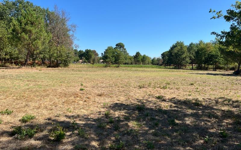 Terrain 4 pièces · à Hourtin · 130 800 €