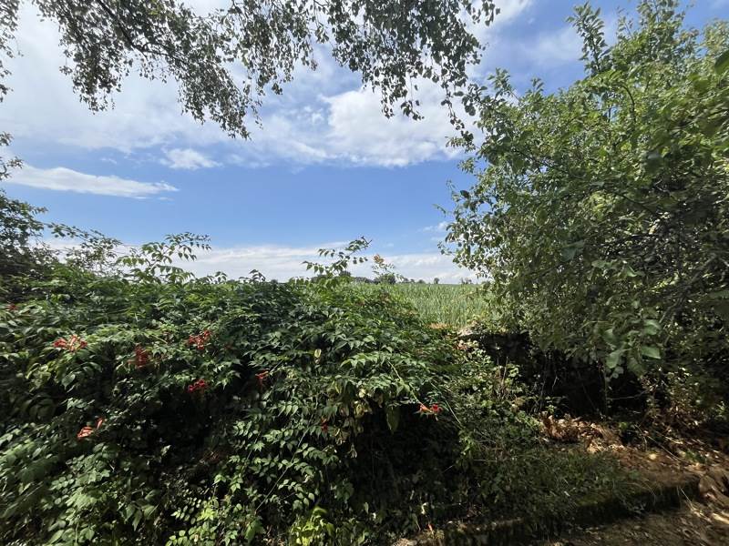 Vente Maison ALLOINAY - 4 pièces -139 m² - (79110)