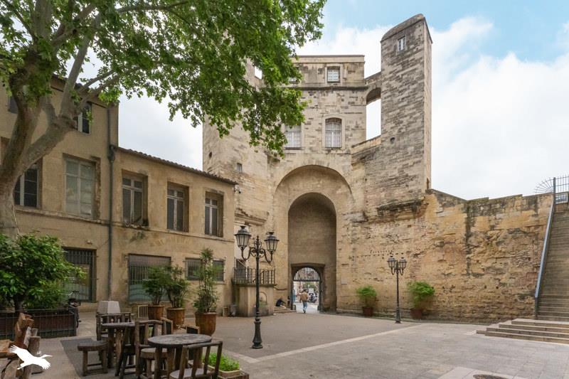Vente Appartement MONTPELLIER - 1 pièce -22 m² - (34000)