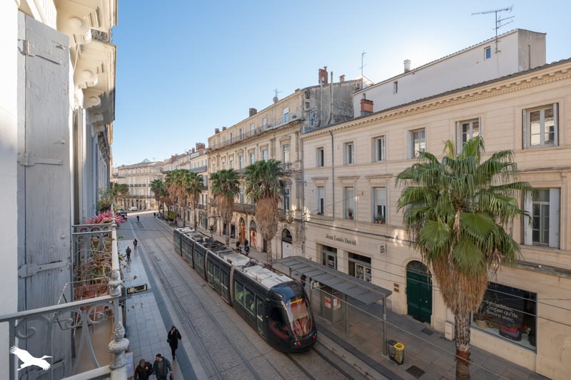 Vente Appartement MONTPELLIER - 4 pièces -71 m² - (34000)