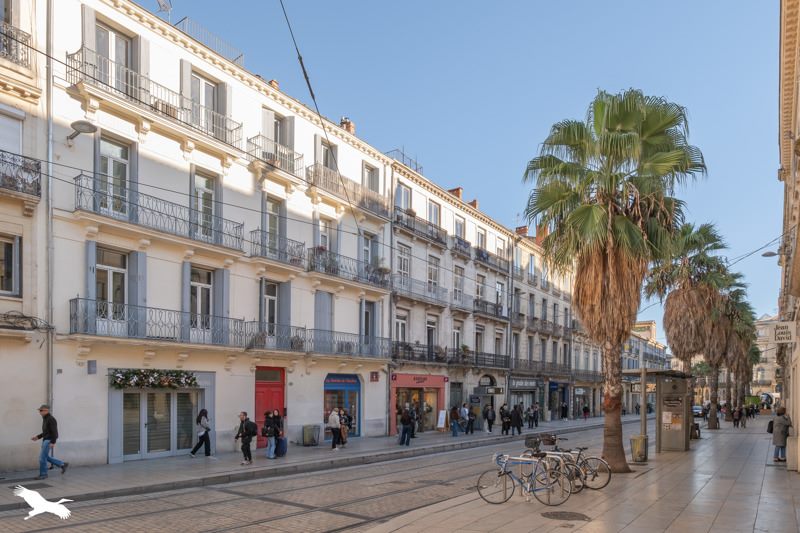 Vente Appartement MONTPELLIER - 3 pièces -71 m² - (34000)