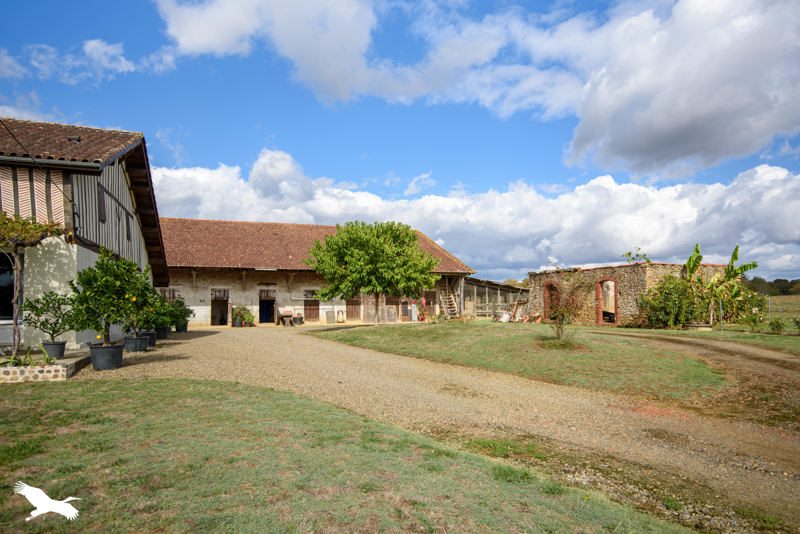 Vente Maison Cazères-sur-l'Adour - 4 pièces -150 m² - (40270)