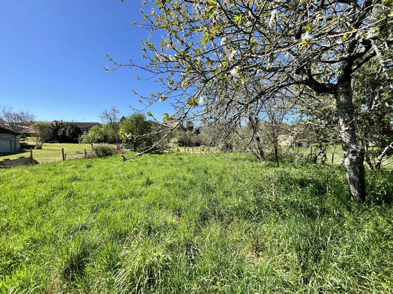 Vente Terrain VOUTHON - -494 m² - (16220)