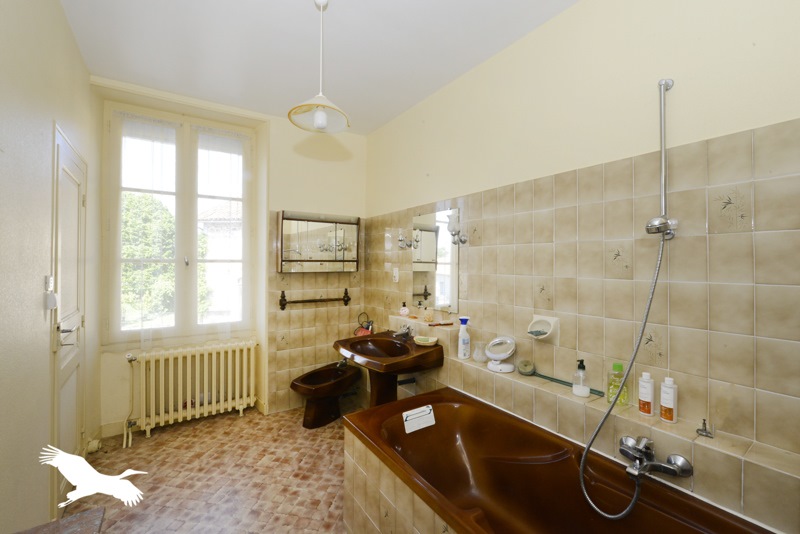 Vente Maison MASSIGNAC - 9 pièces -210 m² - (16310)