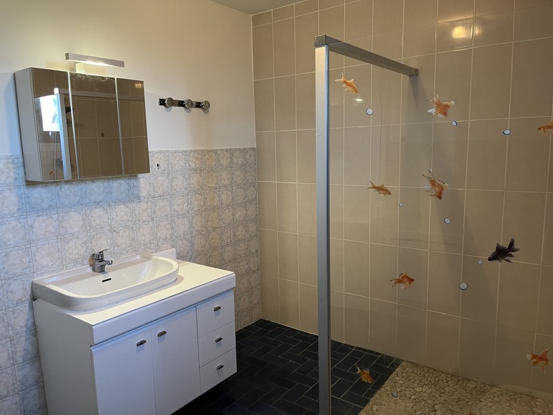 Vente Maison MONTBRON - 4 pièces -97 m² - (16220)