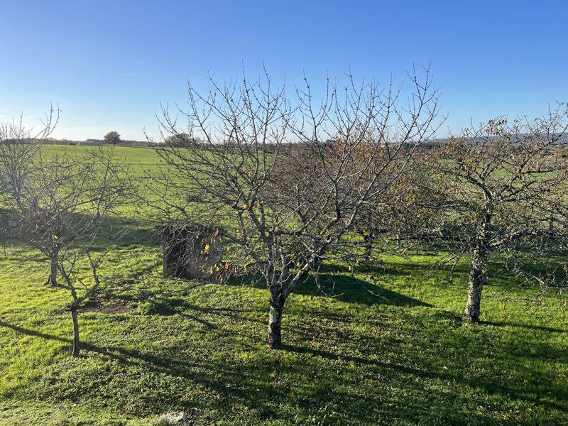 Vente Maison MONTBRON - 4 pièces -97 m² - (16220)
