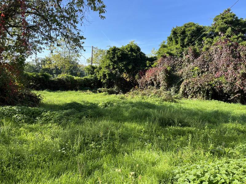 Vente Maison ECURAS - 5 pièces -177 m² - (16220)