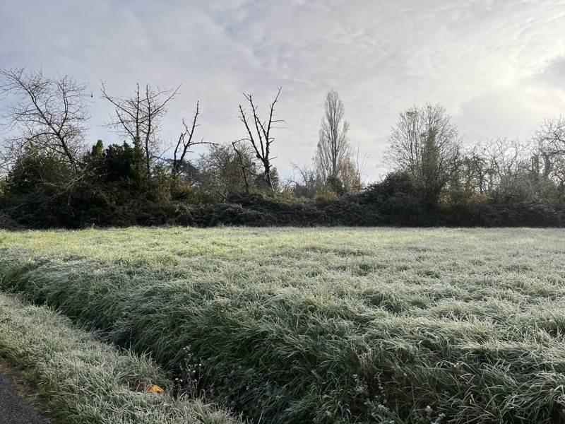 Vente Terrain CHARRAS - -620 m² - (16380)