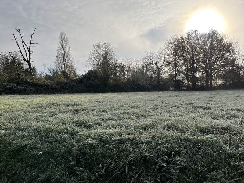 Vente Terrain CHARRAS - -620 m² - (16380)