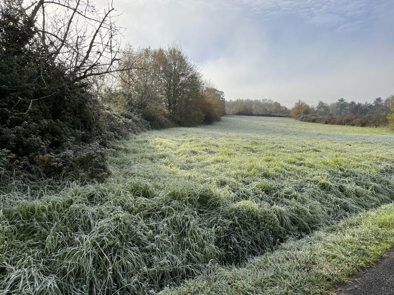 Vente Terrain CHARRAS - -620 m² - (16380)