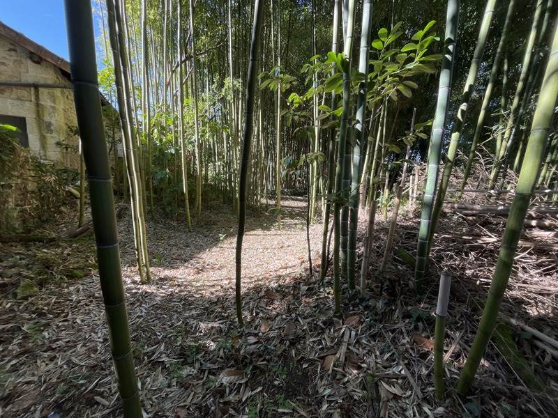 Vente Terrain MARTHON - -2561 m² - (16380)