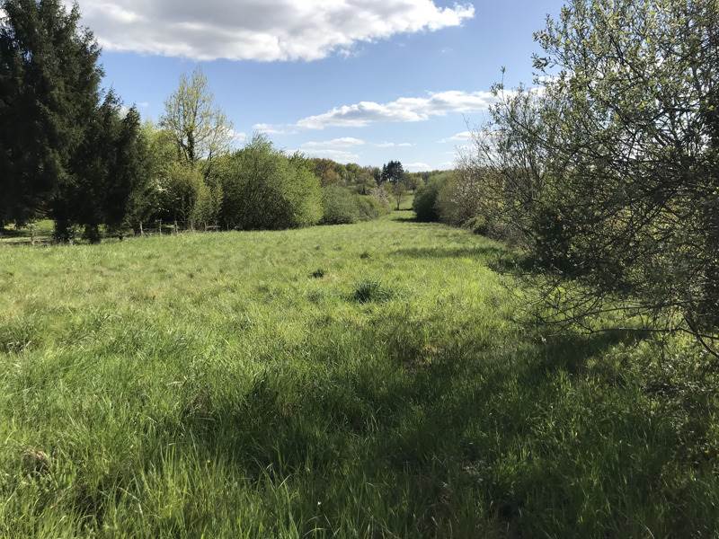 Vente Terrain ECURAS - -2489 m² - (16220)