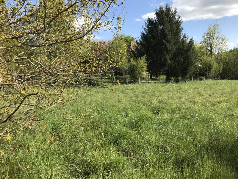 Vente Terrain ECURAS - -2489 m² - (16220)