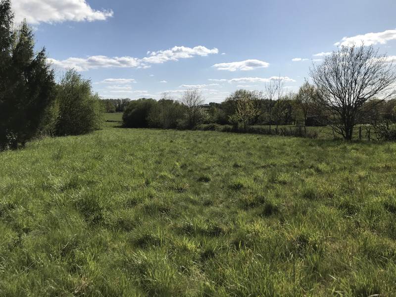 Vente Terrain ECURAS - -2489 m² - (16220)