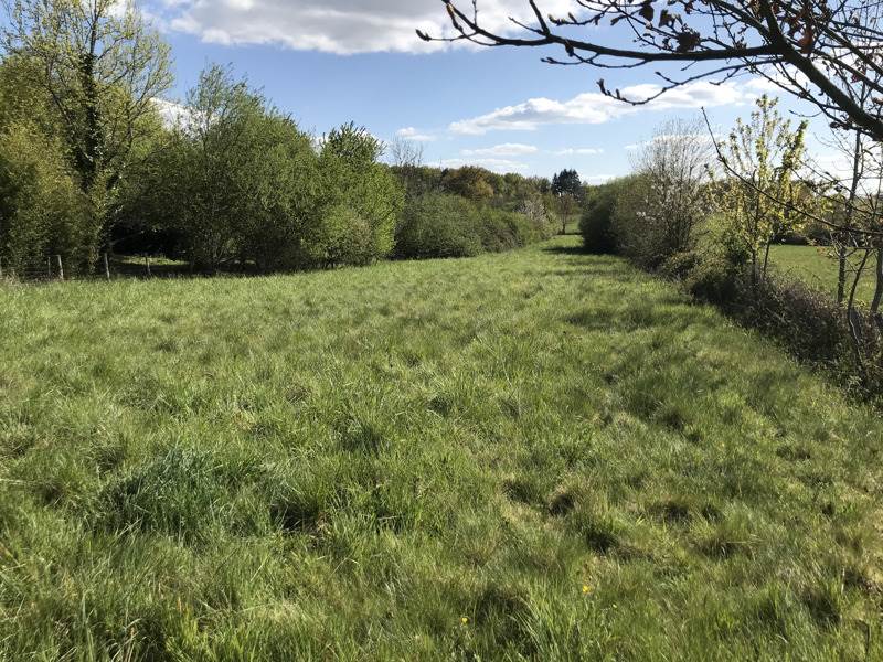 Vente Terrain ECURAS - -2489 m² - (16220)