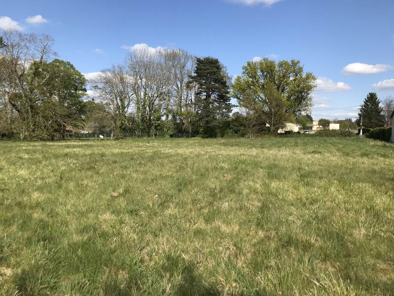 Vente Terrain ECURAS - -3180 m² - (16220)