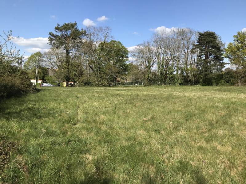 Vente Terrain ECURAS - -3180 m² - (16220)