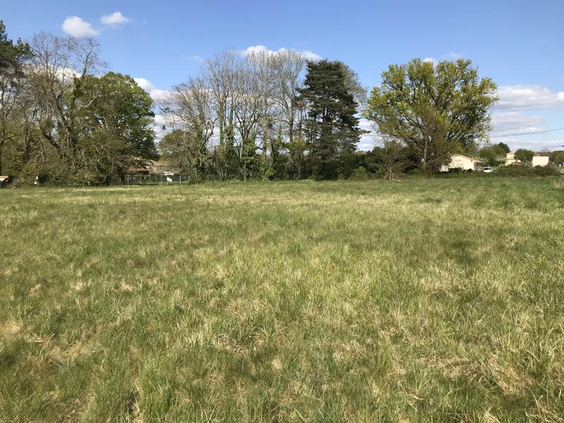 Vente Terrain ECURAS - -3180 m² - (16220)