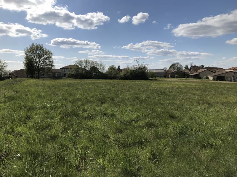 Vente Terrain ECURAS - -3180 m² - (16220)