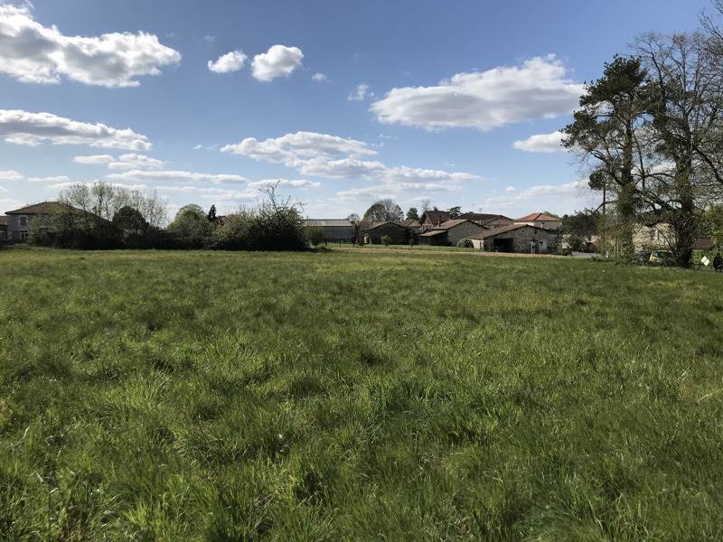 Vente Terrain ECURAS - -3180 m² - (16220)