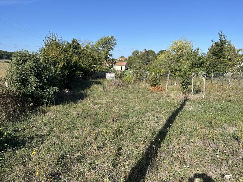 Vente Terrain VOUTHON - -1755 m² - (16220)