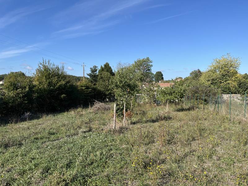 Vente Terrain VOUTHON - -1755 m² - (16220)