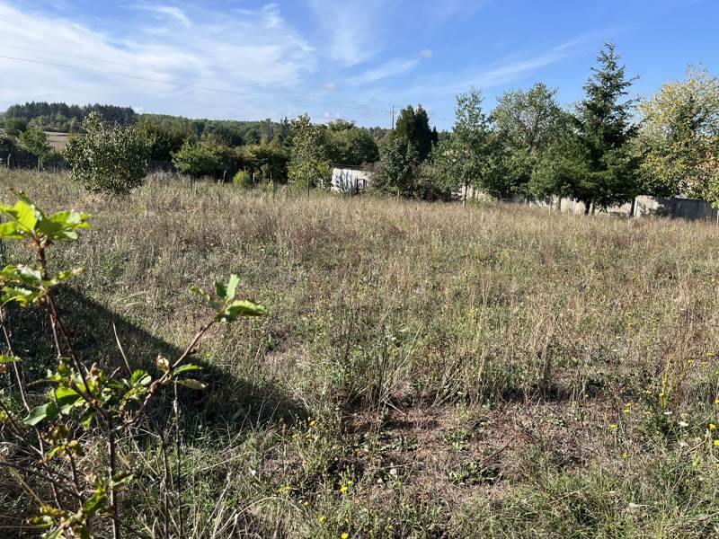 Vente Terrain VOUTHON - -1755 m² - (16220)