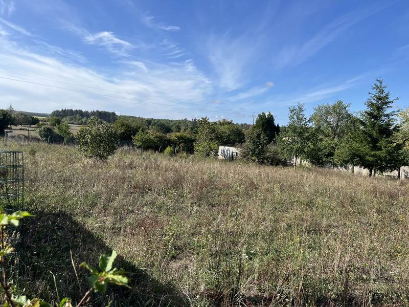 Vente Terrain VOUTHON - -1755 m² - (16220)