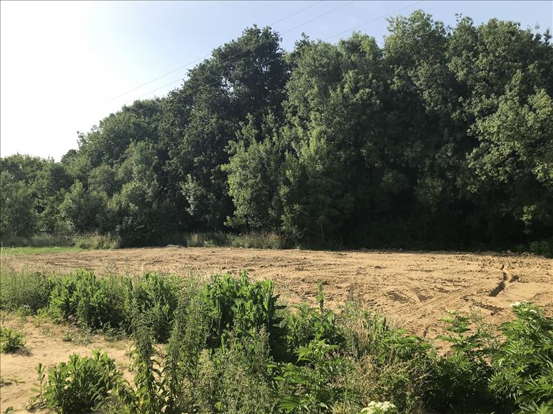 Vente Terrain ST LAURENT DE LA PREE - -1000 m² - (17450)