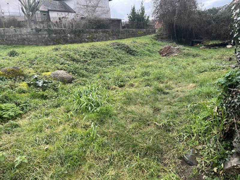 Vente Terrain POUEYFERRE - -436 m² - (65100)