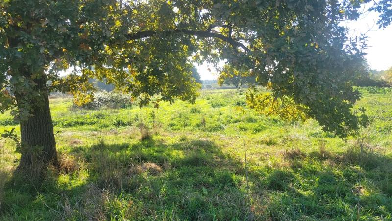 Vente Grange ST MARIENS - - - (33620)