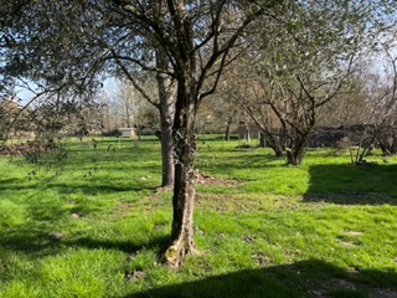 Vente Maison CUBNEZAIS - 5 pièces -133 m² - (33620)