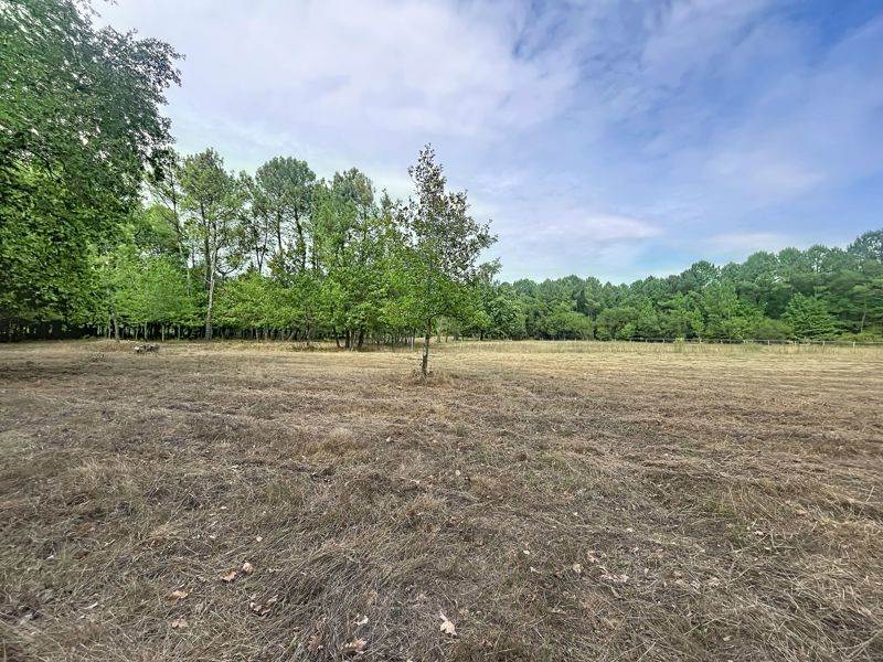 Vente Terrain Laruscade - -182792 m² - (33620)
