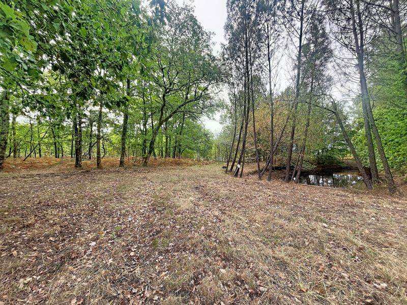 Vente Terrain Laruscade - -182792 m² - (33620)