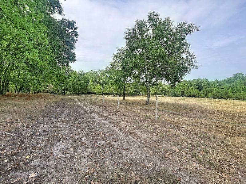 Vente Terrain Laruscade - -182792 m² - (33620)