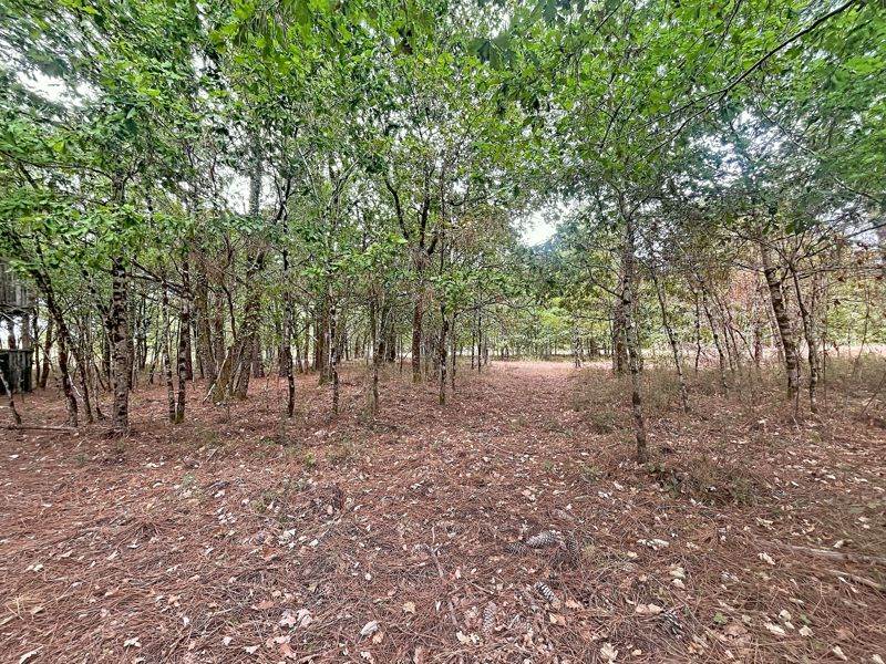 Vente Terrain Laruscade - -182792 m² - (33620)