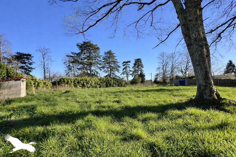 Vente Maison AVAILLES LIMOUZINE - 10 pièces -353,1 m² - (86460)
