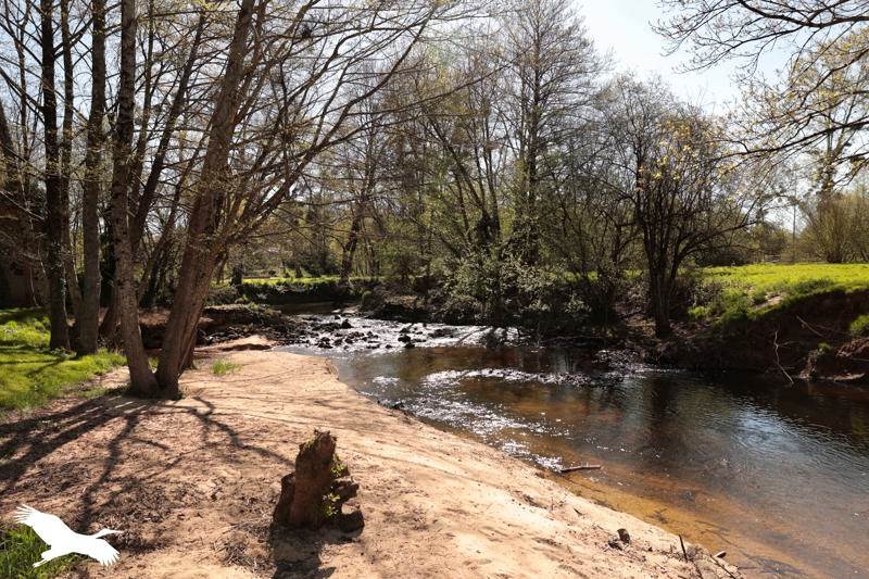 Vente Maison AMBERNAC - 5 pièces -140 m² - (16490)