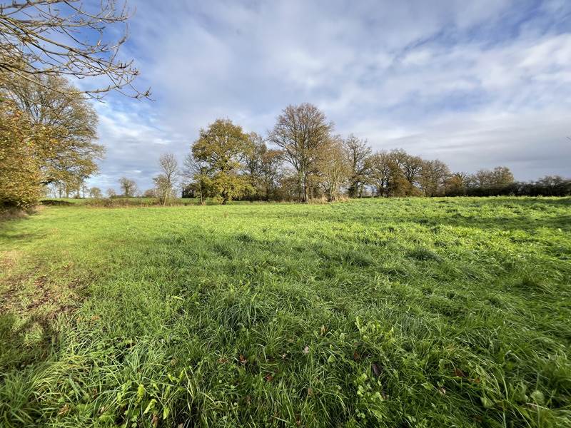 Vente Grange CHABRAC - 1 pièce -120 m² - (16150)