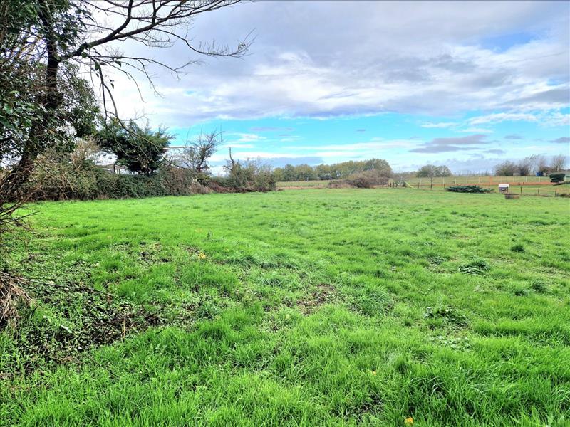 Vente Terrain SAVERDUN - -3000 m² - (09700)