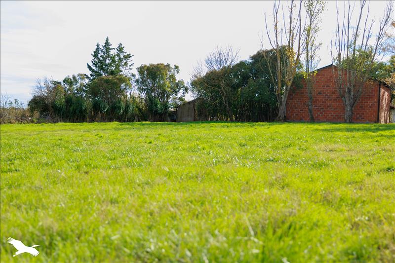 Vente Terrain SAVERDUN - -3000 m² - (09700)