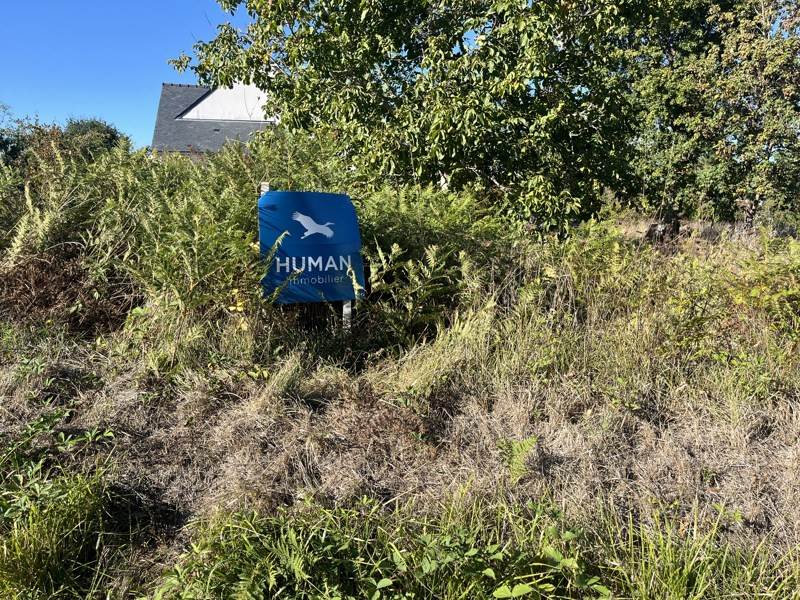 Vente Terrain Moëlan-sur-Mer - -593 m² - (29350)