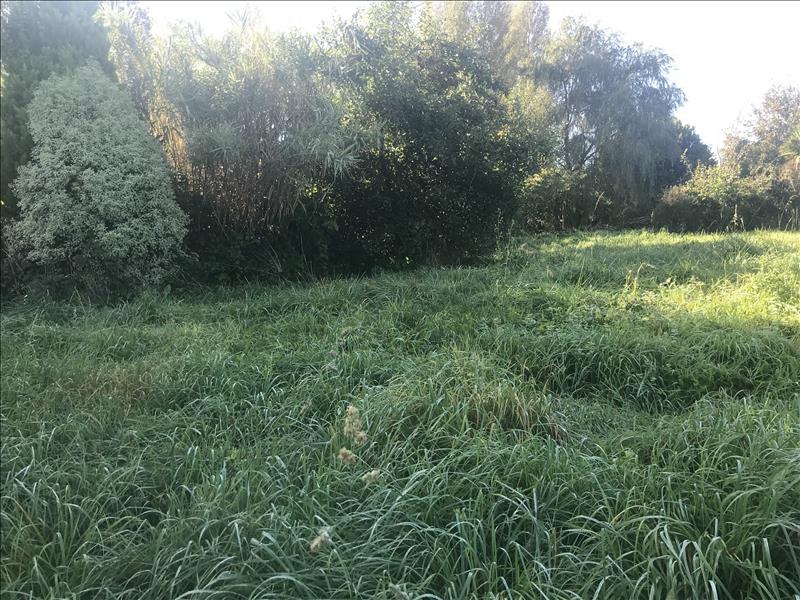 Vente Terrain FOUESNANT - -960 m² - (29170)