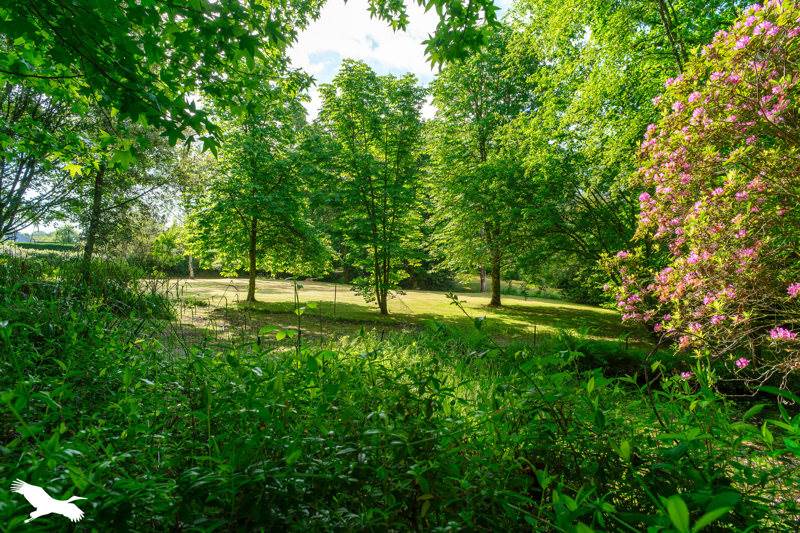 Vente Maison FOUESNANT - 5 pièces -250 m² - (29170)