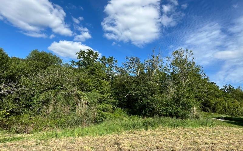 Terrain 553 m² · à Saint-Évarzec · 553 m² · 90 200 €